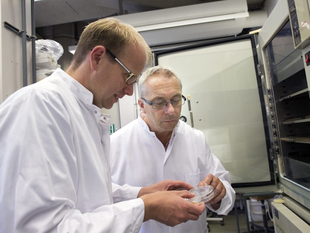 Prof. dr. Wim Vermeulen