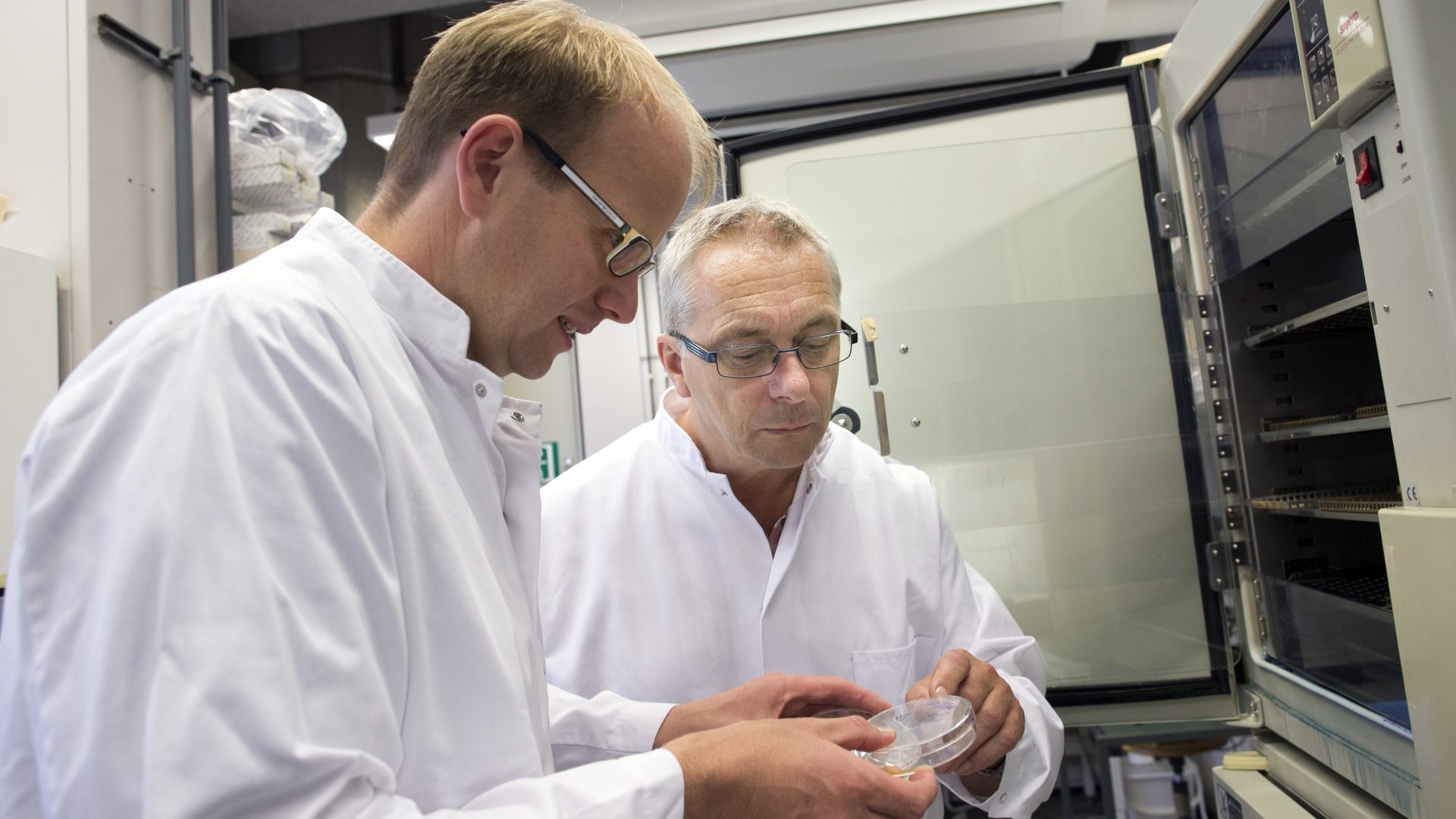 Prof. dr. Wim Vermeulen