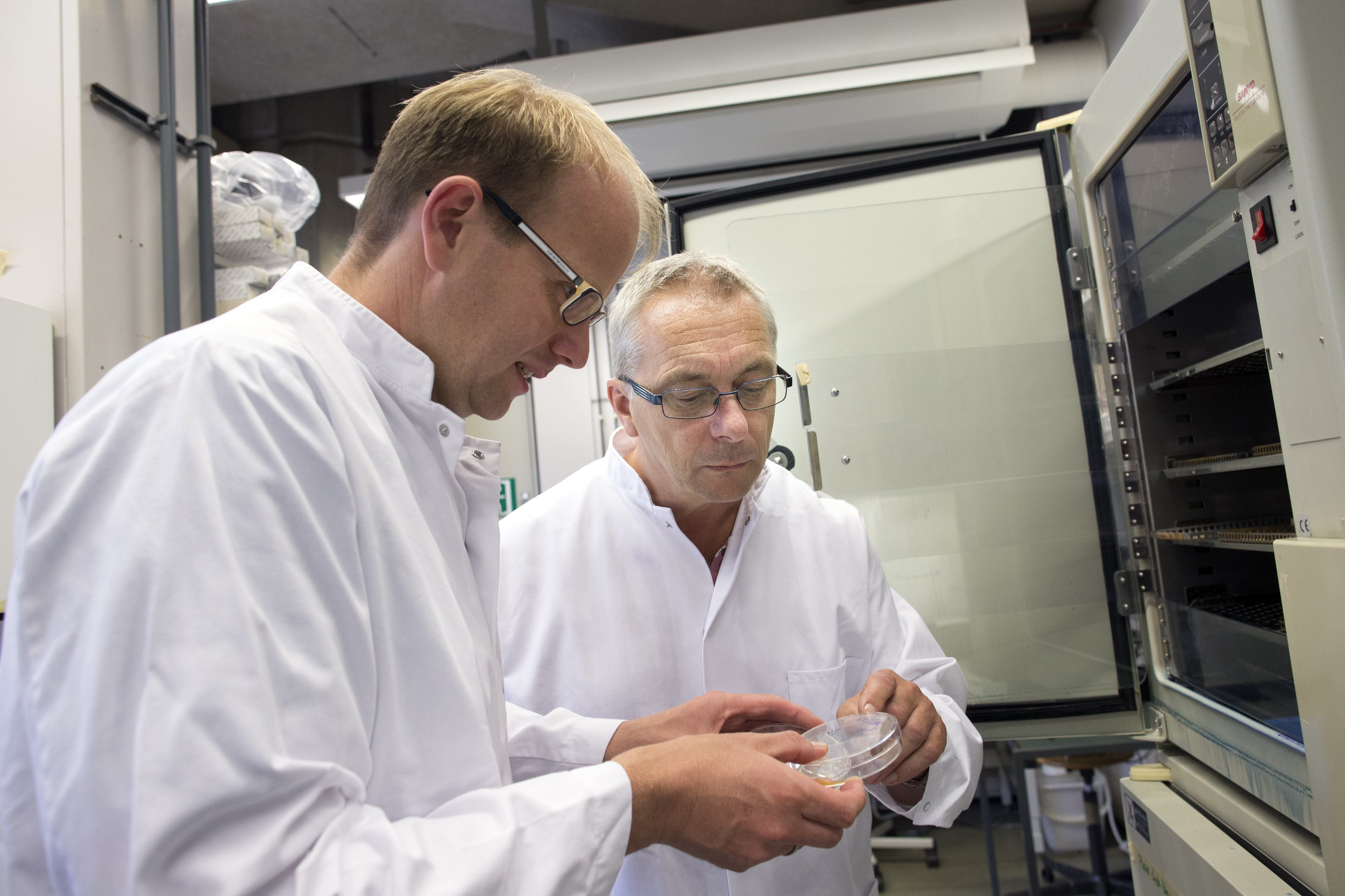 Prof. dr. Wim Vermeulen
