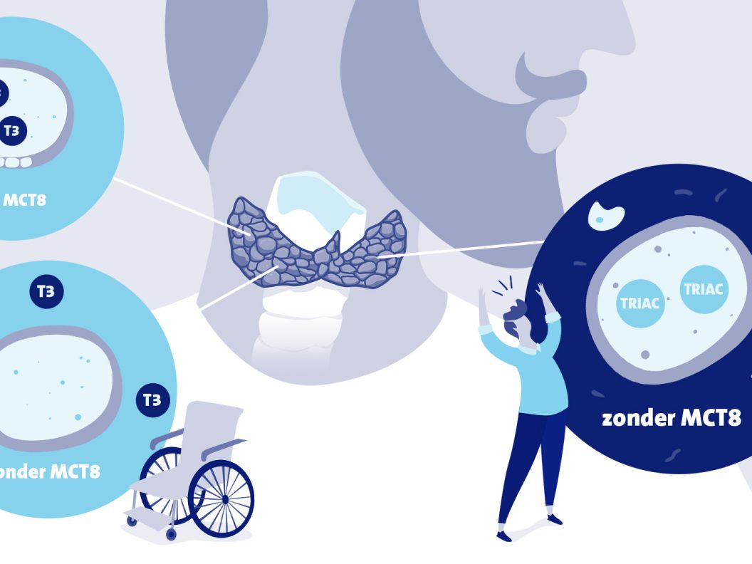 EMC_Infographic_schildklier