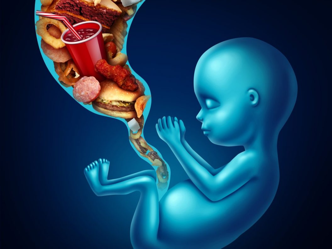 infographic van ongeboren baby