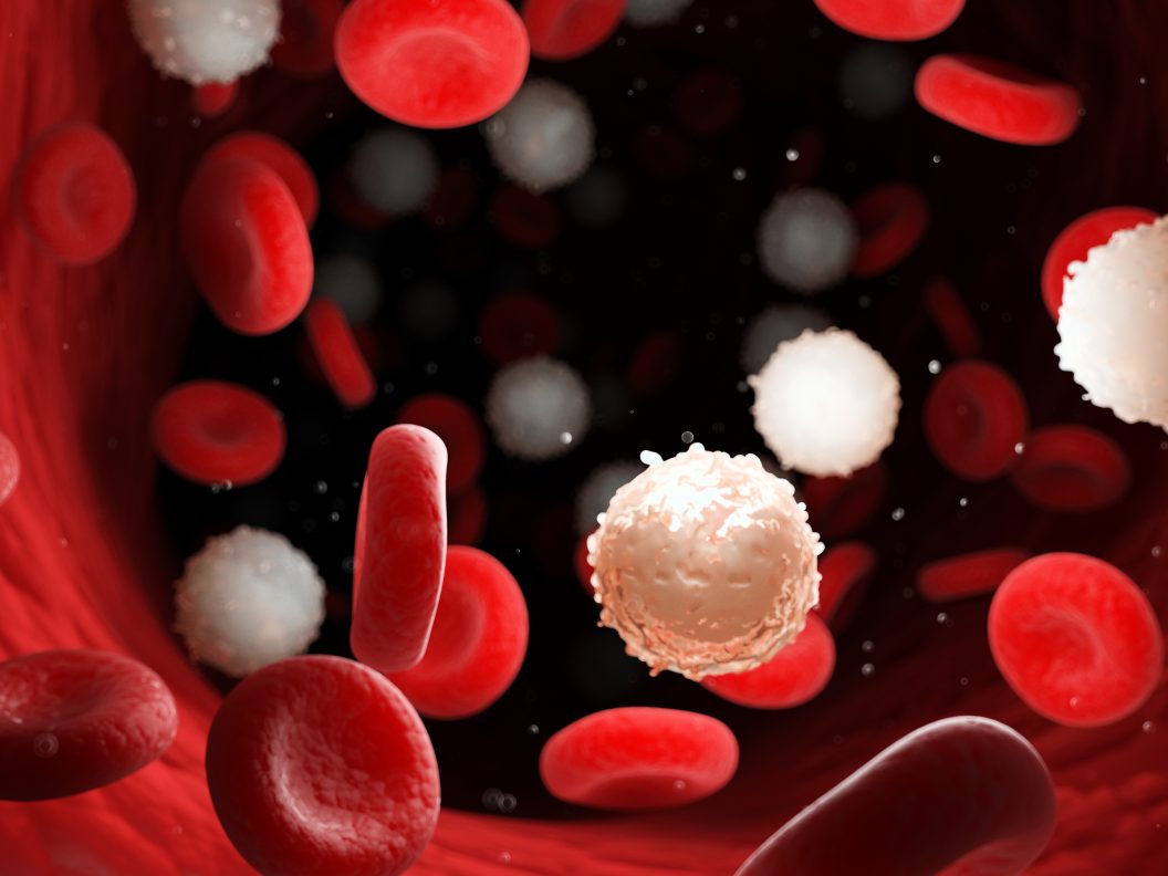 Beeld van leukemie onder microscoop