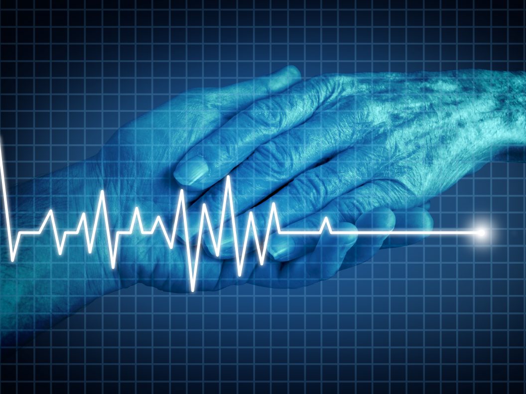 shutterstock_levertransplantatie-na-euthanasie