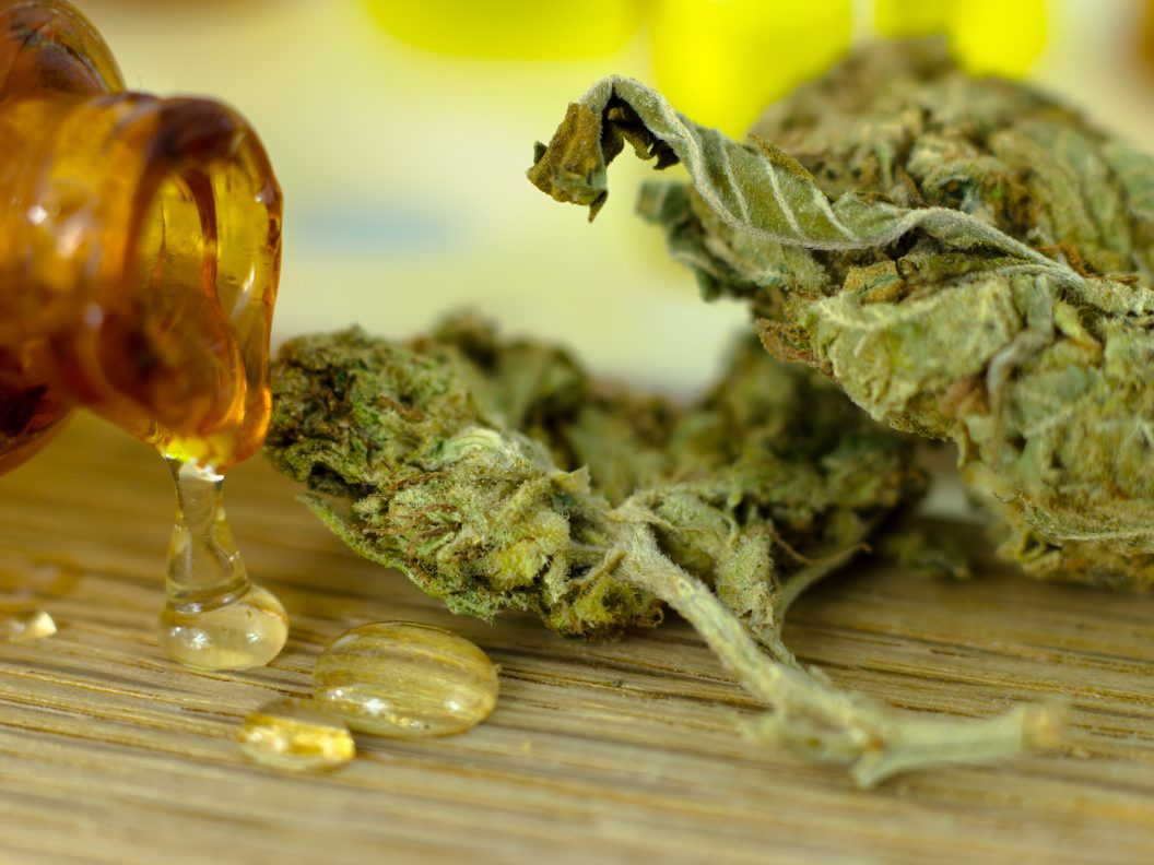 Gedroogde cannabis en wietolie op plank