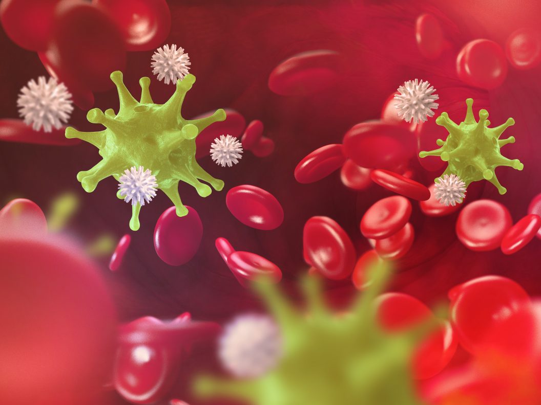 Blood,Cells.,Leukocytes,Attack,The,Virus.,Immunity,Of,The,Body.