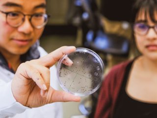 New controller discovered in DNA copying process