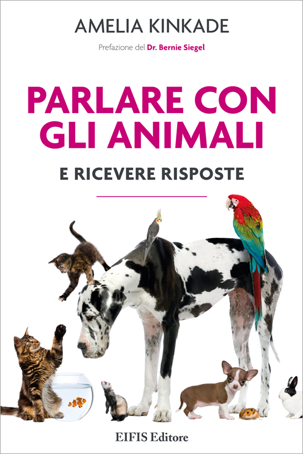 visione la perdita di peso richlands va