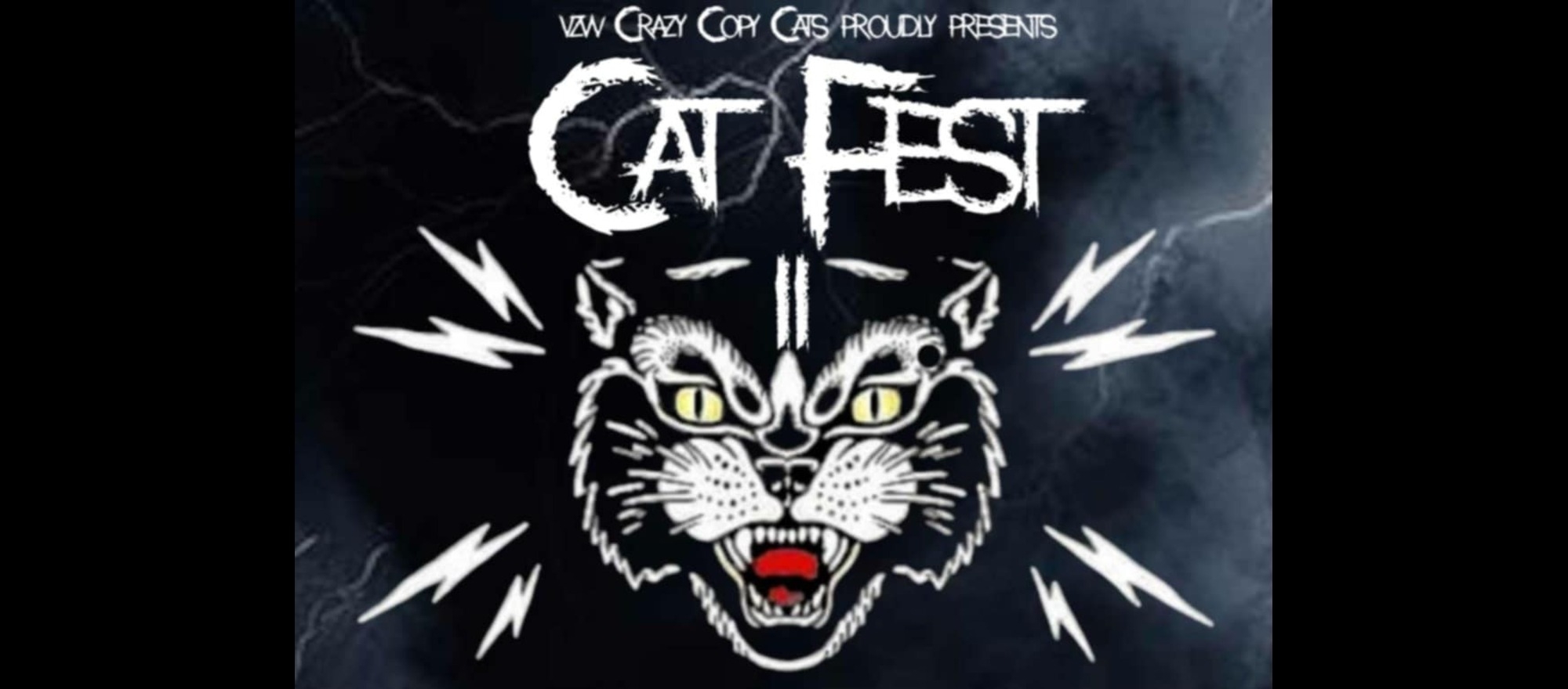 Cat Fest banner