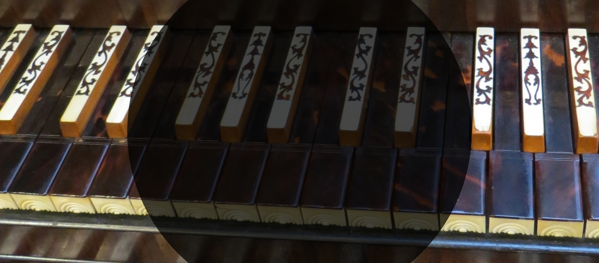 Concertos de J.S. Bach banner