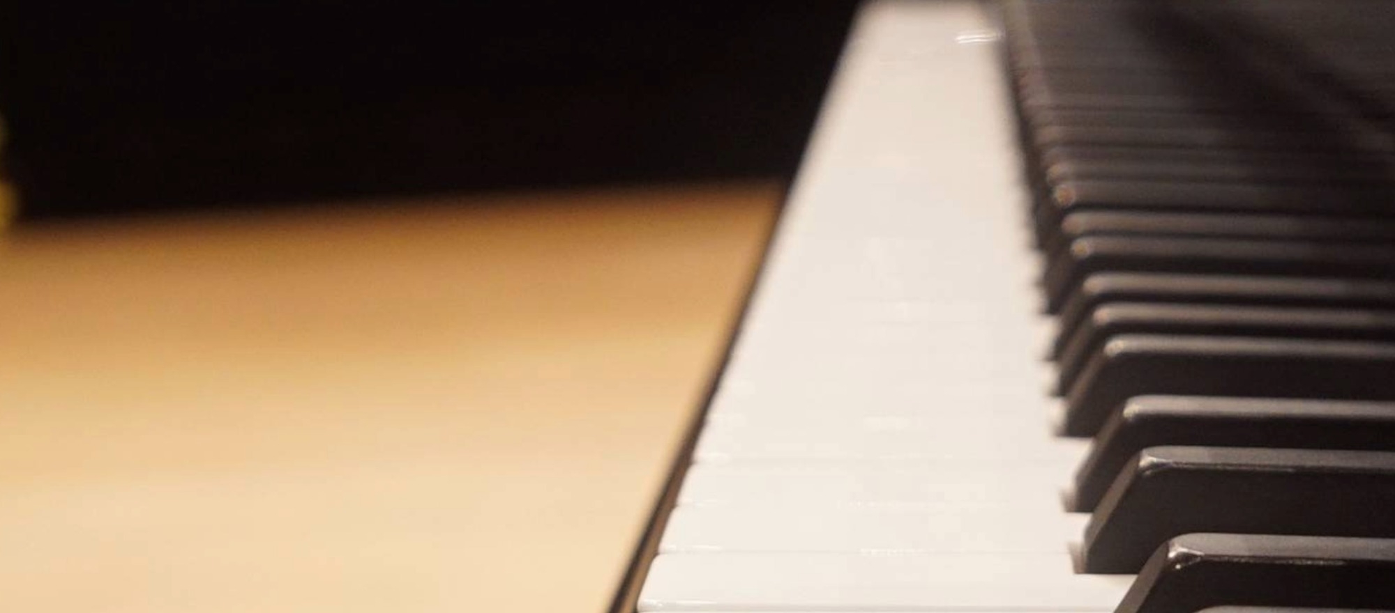 Eduardo Fabini banner