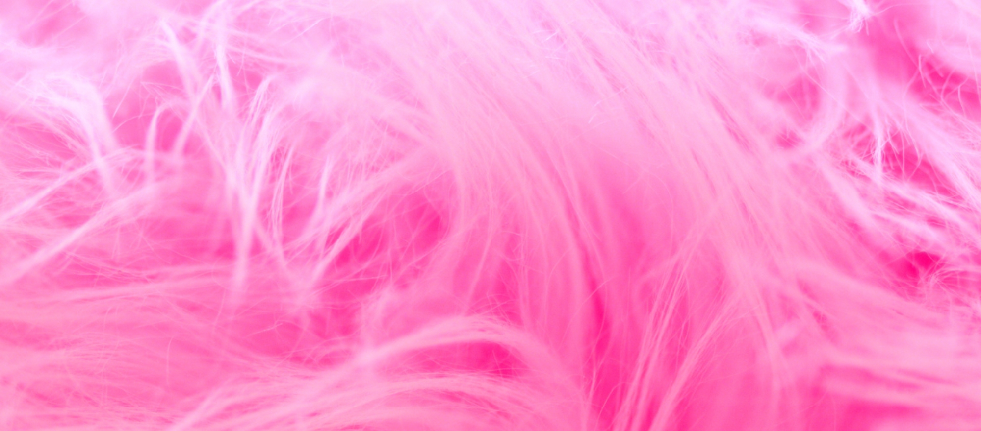 Revue « La 20eme parure » banner