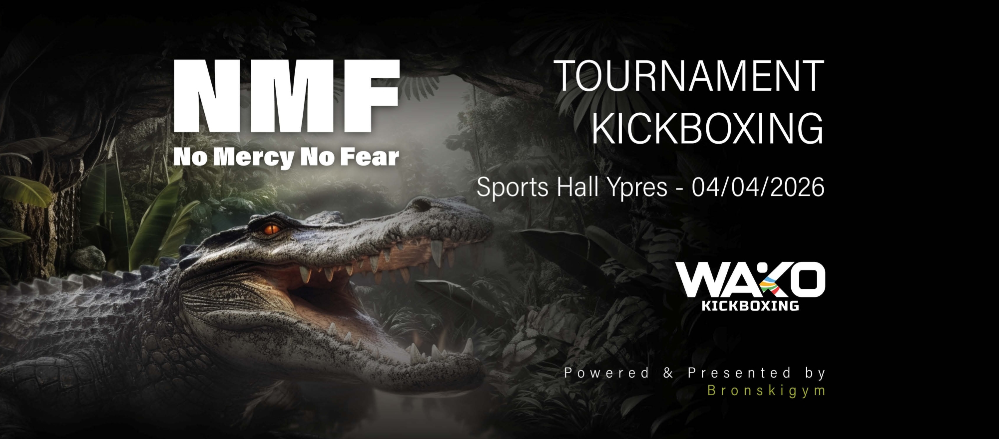 NMF - No Mercy No Fear banner