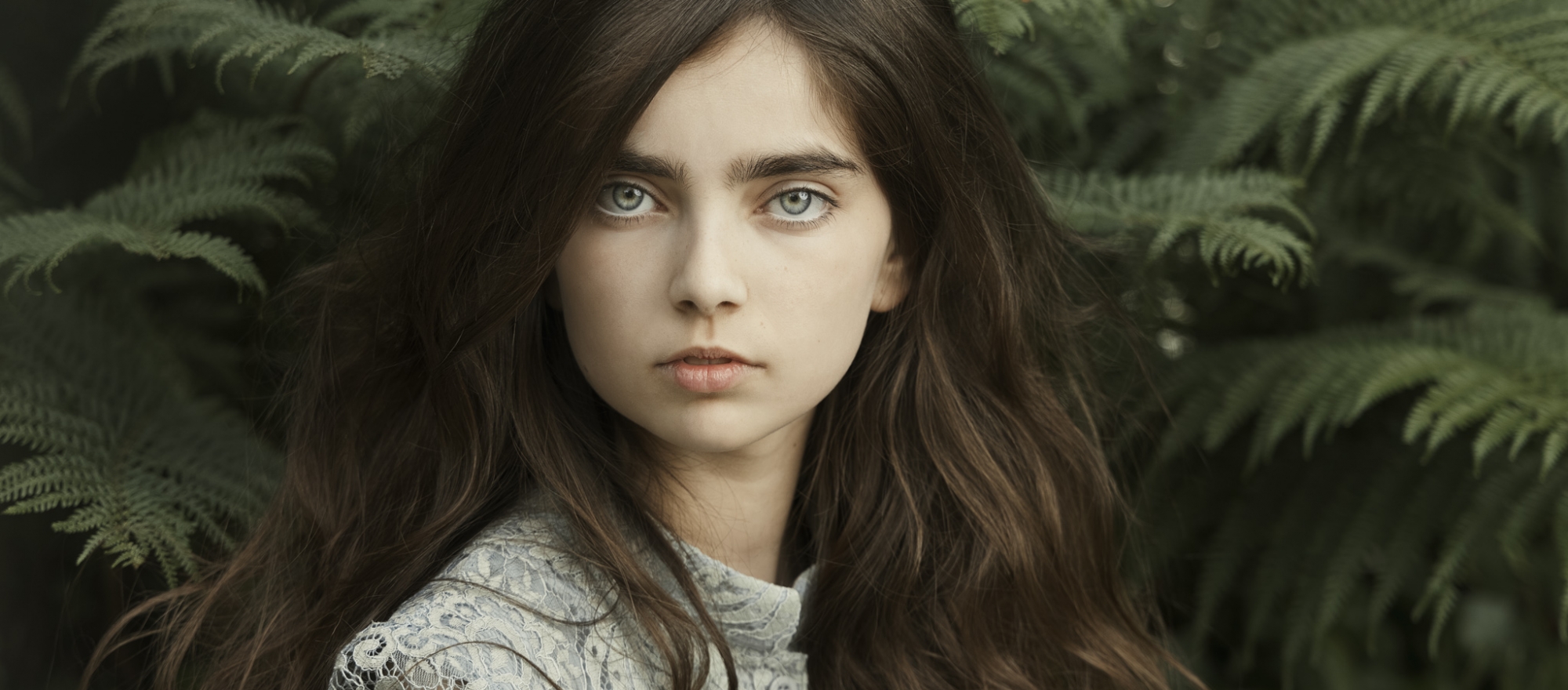 Kleurgebruik in Portret banner