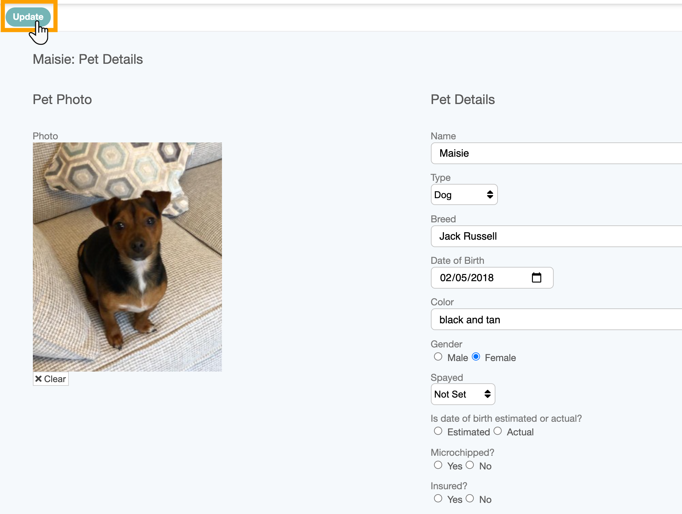 Amend a pet's information in the client portal in dog walking software