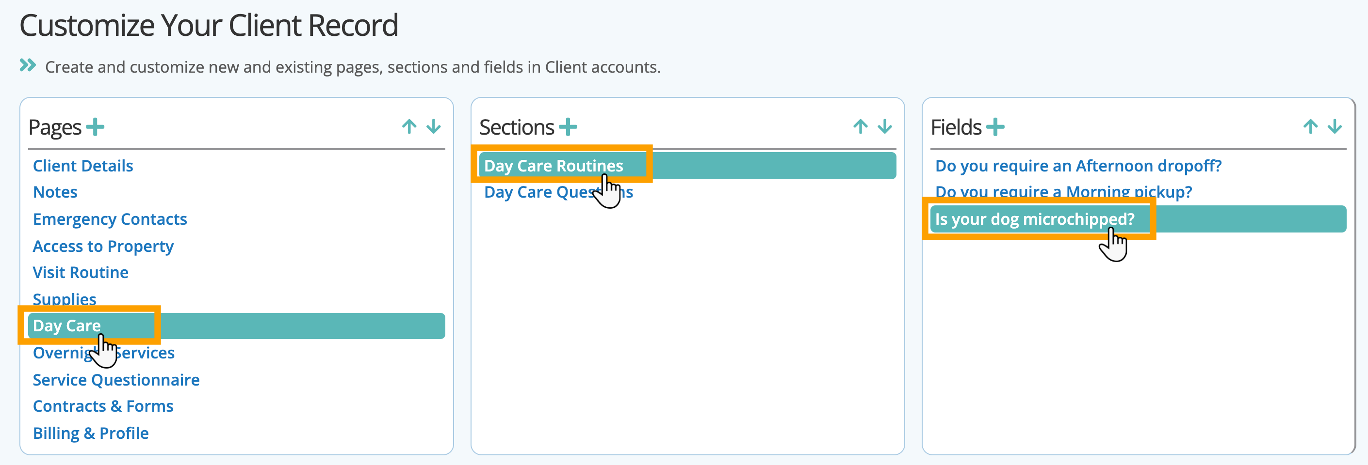 Select a page then section then field in custom fields in pet sitter software