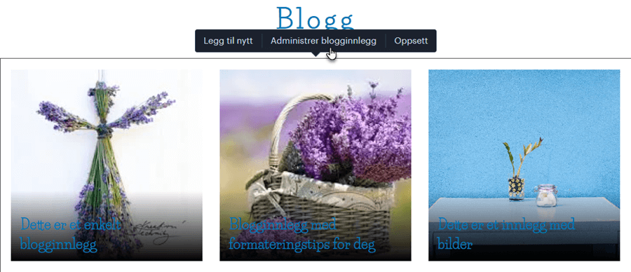 Blogginnlegg knapp