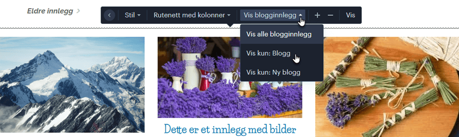 Vis blogginnlegg