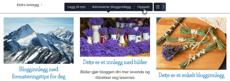 Oppsett av bloggvisning
