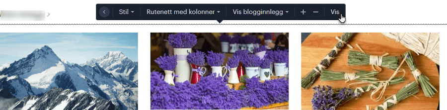 Bloggvisning vis