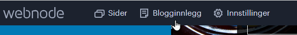 Blogginnlegg