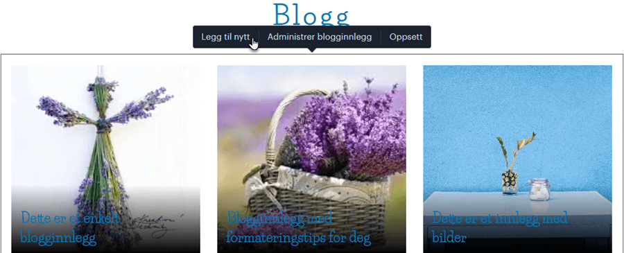 Legg til nytt blogginnlegg