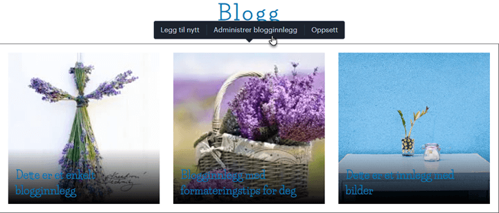 Administrer blogginnlegg