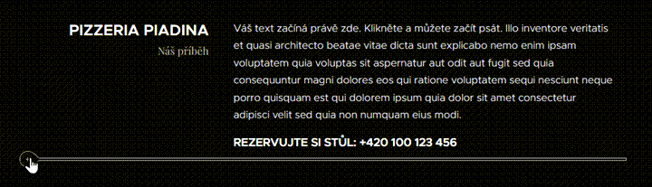 Vložit video