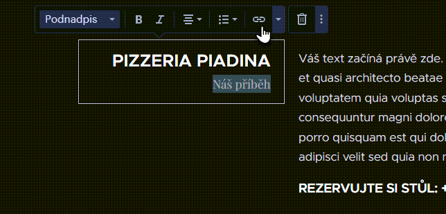Vložit odkaz