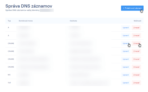 sprava-dns-zaznamov