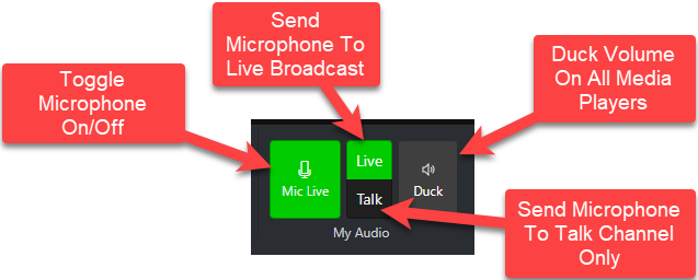 A screen shot of a microphone
AI-generated content may be incorrect.