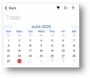A screenshot of a calendar

AI-generated content may be incorrect.