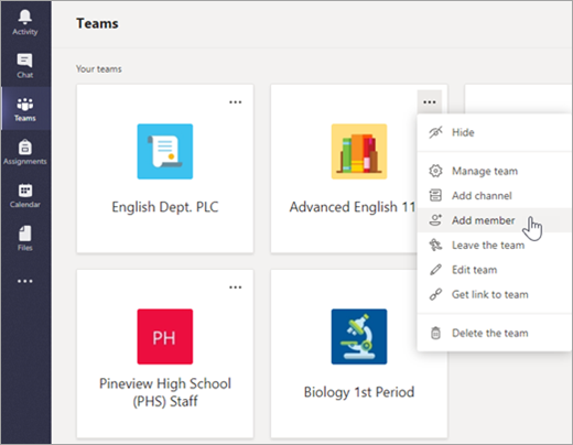 Teams, More details, then select Add member