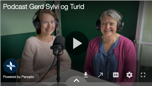 Eksempelbilde som viser hvordan avspillingsruten ser ut når du har lagt inn et bilde.