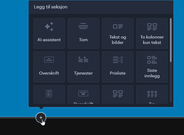 ny eksjon