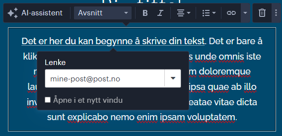 Skriv inn e-post