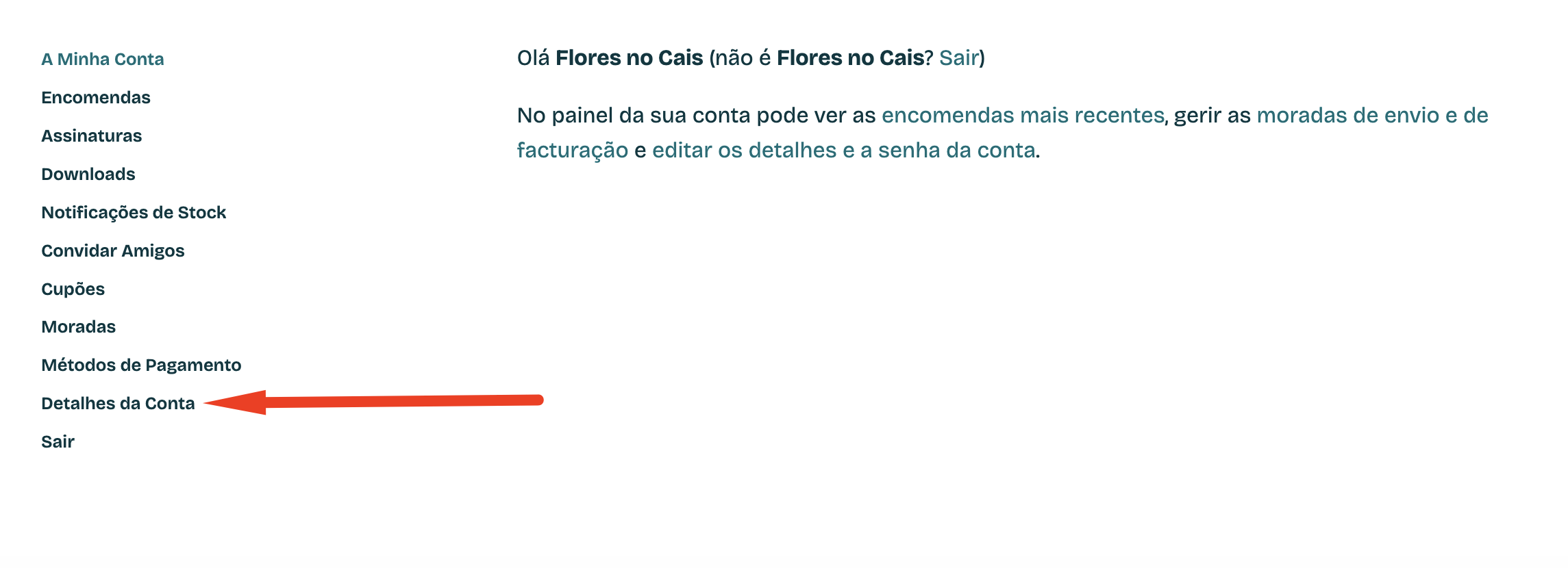Passo 2: selecionar Detalhes da Conta no menu da área de cliente