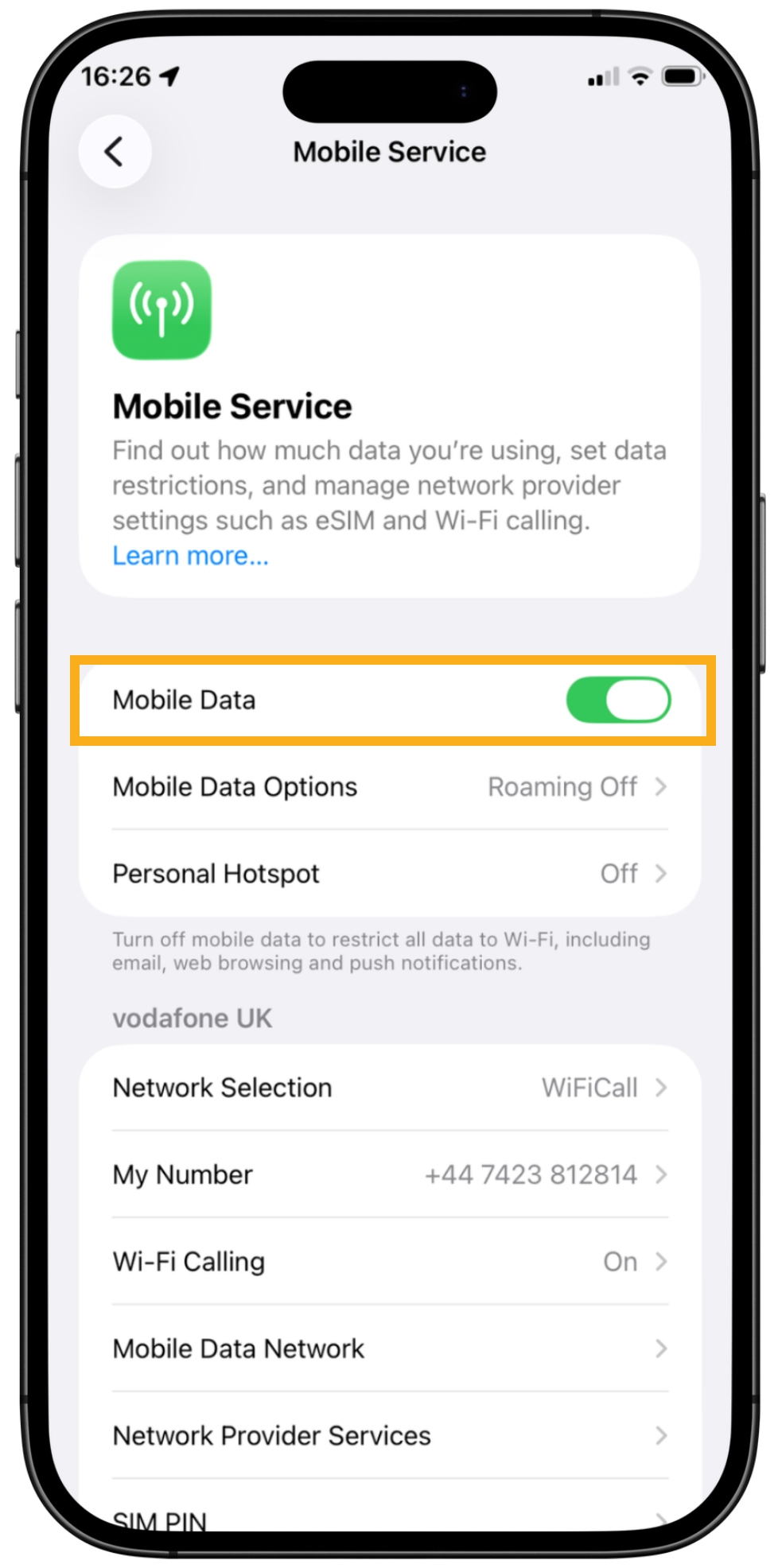 Switch on Mobile Services on an iPhone to use Check in/Out with Pet Sitter Plus