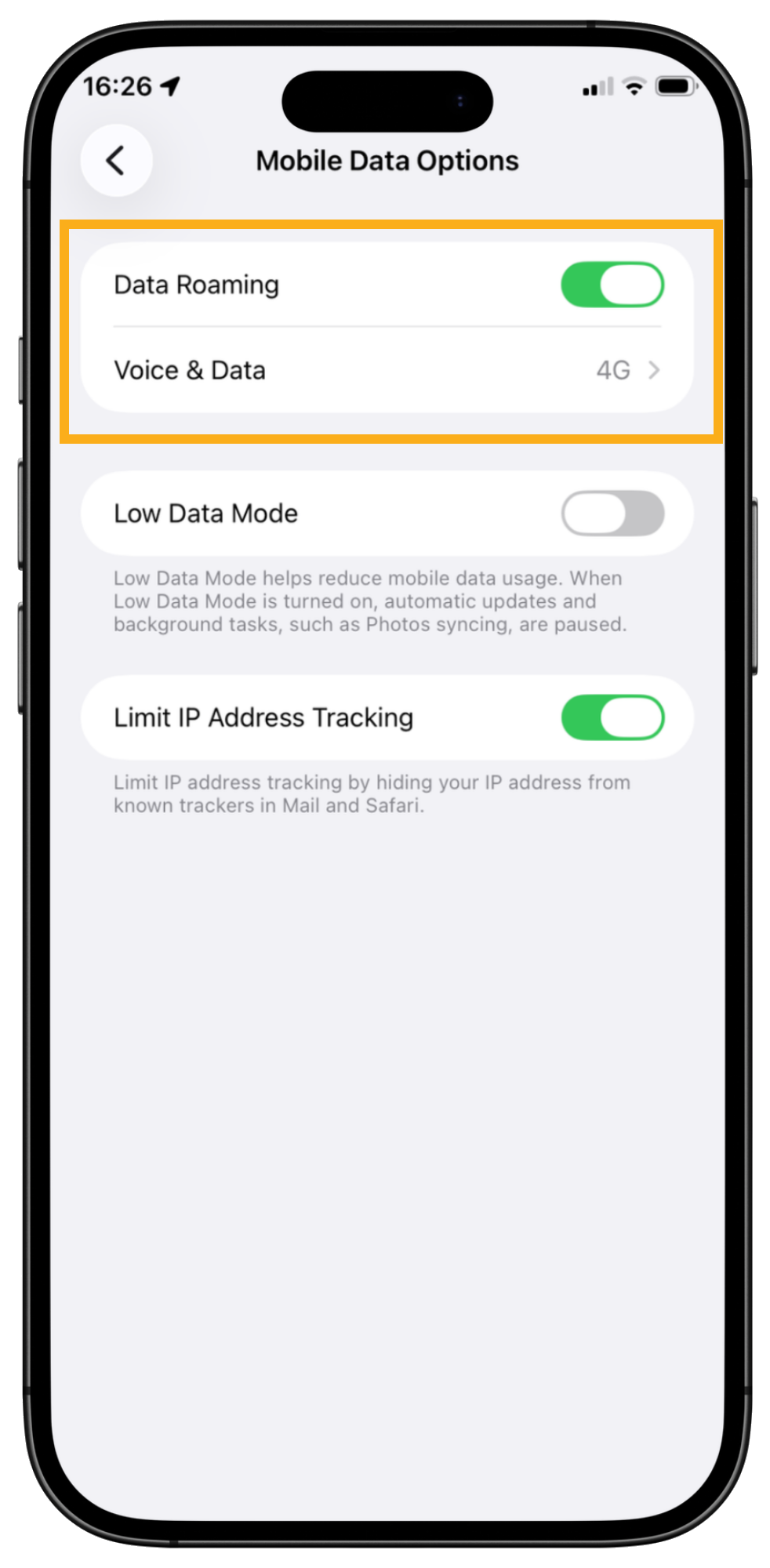 Switch on Voice & Data Roaming on an iPhone to use GPS check in/out in Pet Sitter Plus