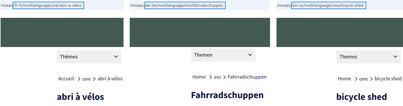 Multilanguage voorbeeld URL's