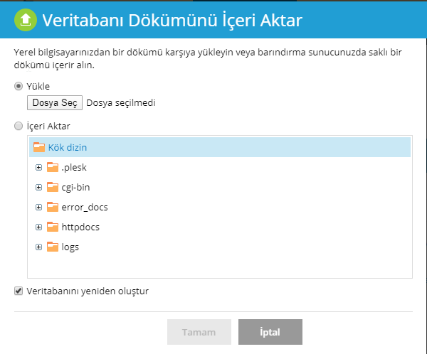 plesk panel dokumu iceri aktar