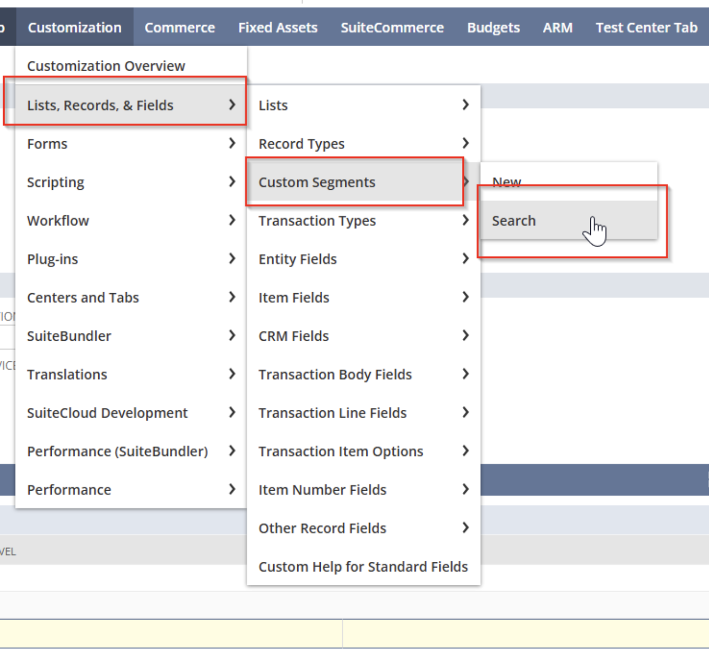 Custom Segments configuration