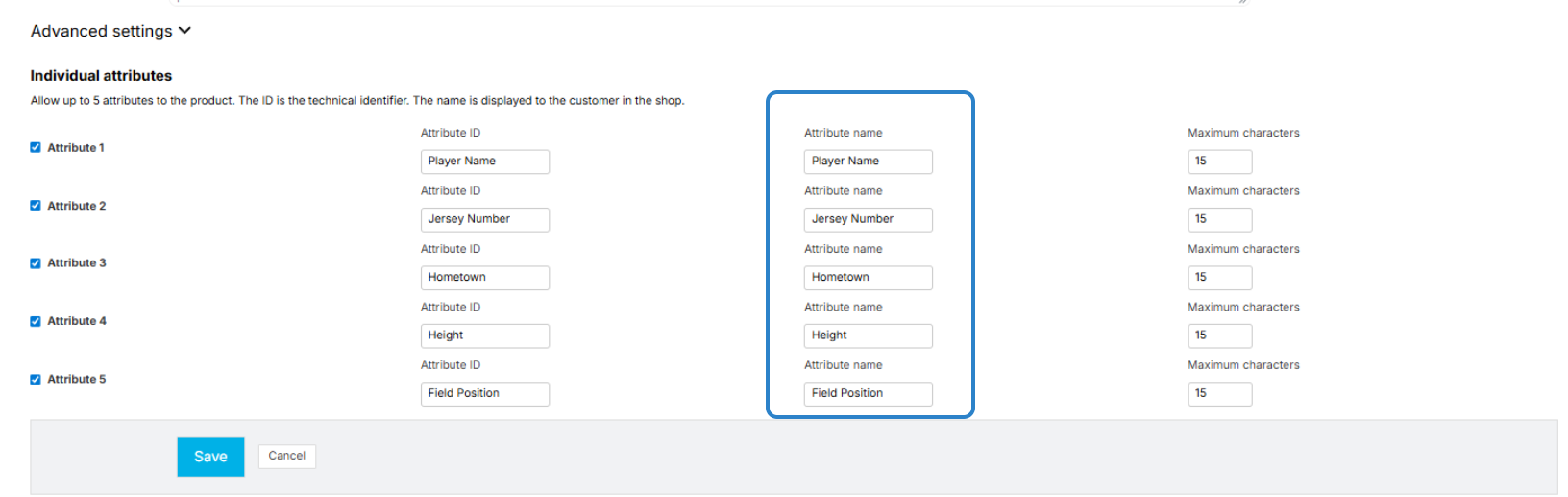 Advanced settings showing custom attribute fields