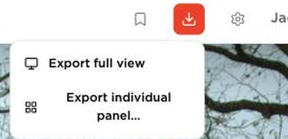 Exportmenu met de opties Export full view en Export individual panel