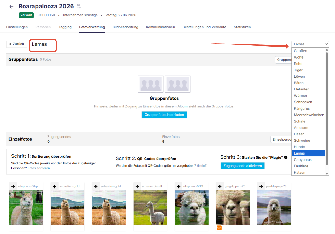 Das Schnellmenü innerhalb eines Albums ermöglicht die schnelle Navigation zwischen Alben. 