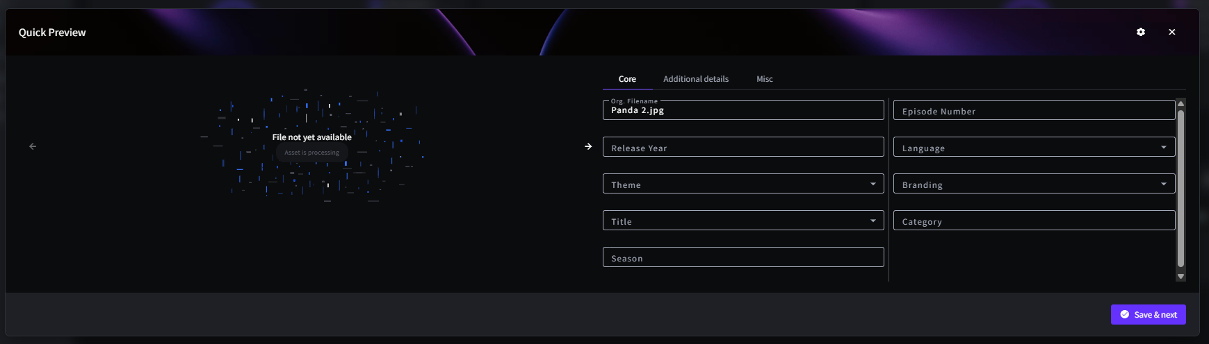 The metadata pop-up for a single asset