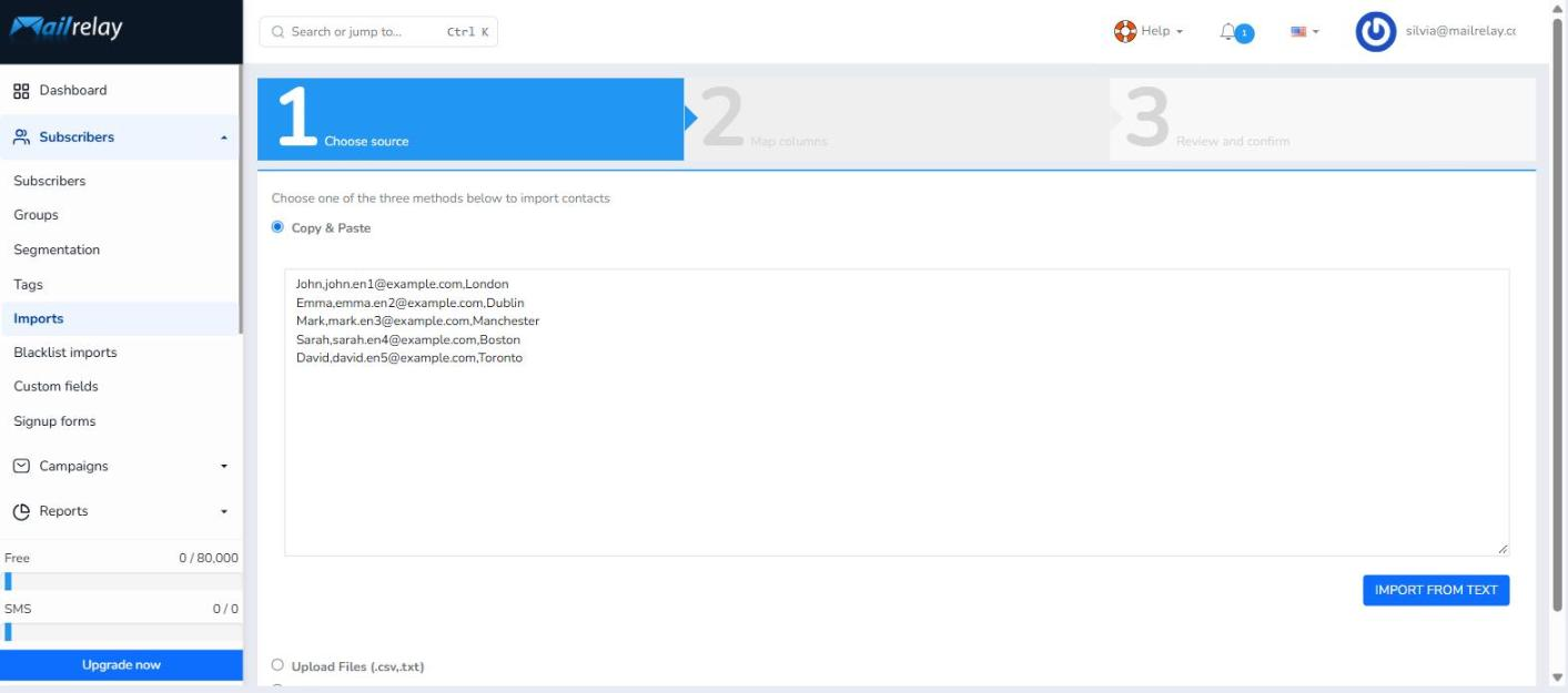 Step 2: the system detects the columns in the pasted data.