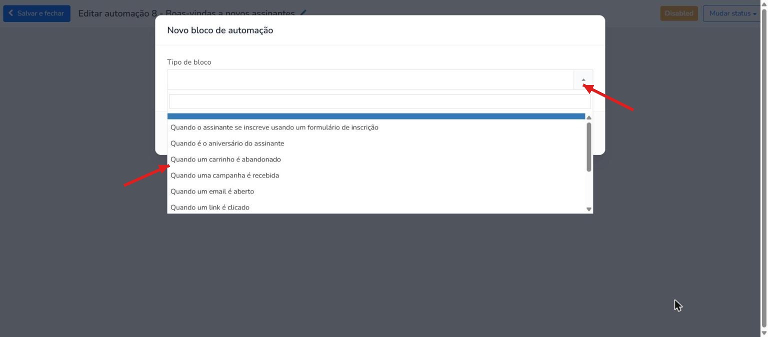 Menu suspenso Tipo de bloco aberto no editor de automações do Mailrelay