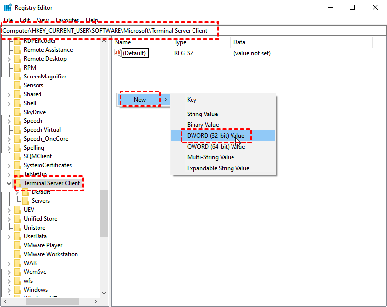 Terminal Server Client