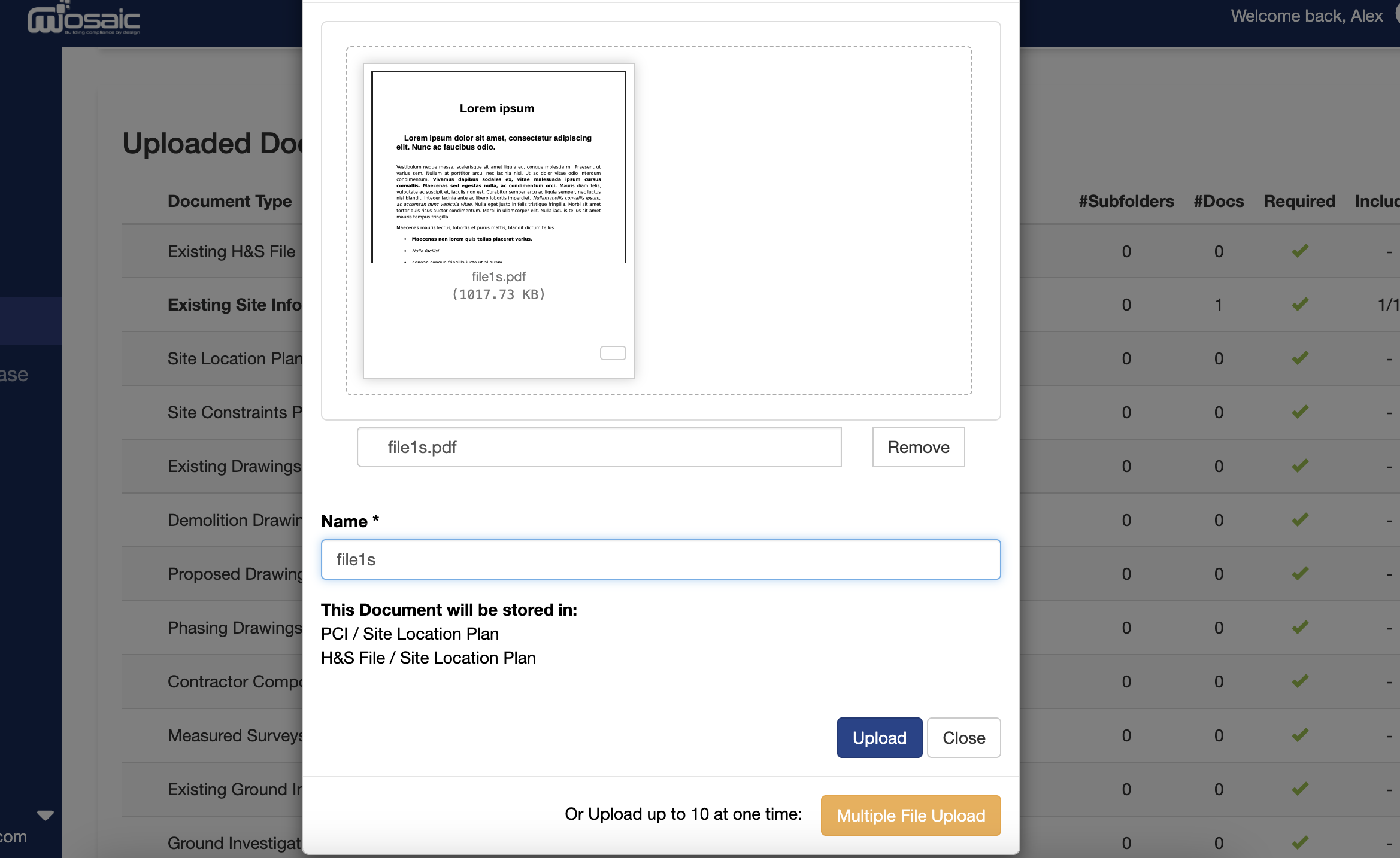 Edit the document name if required