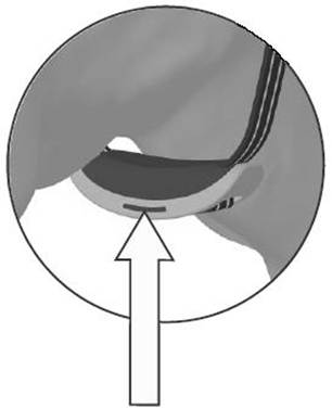 A close-up of a seat
AI-generated content may be incorrect.